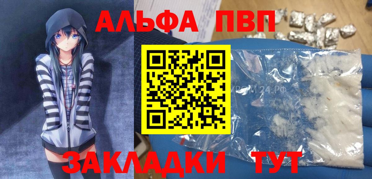 А ПВП СК Владимир