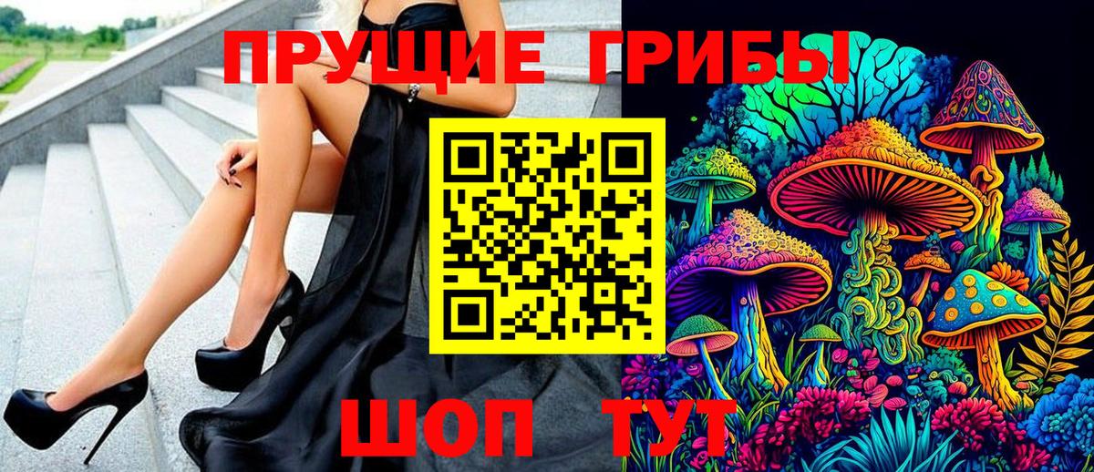 Владимир  Псилоцибиновые грибы MAGIC MUSHROOMS  Вход с VPN 